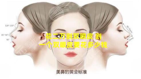 花二万割双眼皮 割一个双眼皮要花多少钱